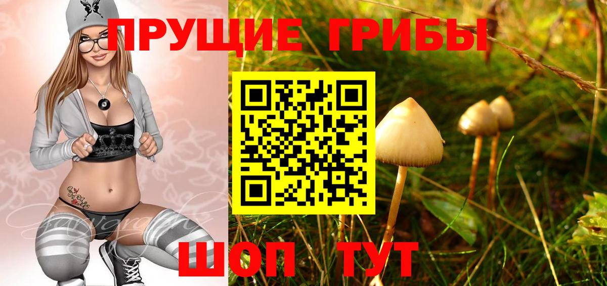 Галлюциногенные грибы GOLDEN TEACHER  Галлюциногенные грибы MAGIC MUSHROOMS  Вход с VPN  Гуково 